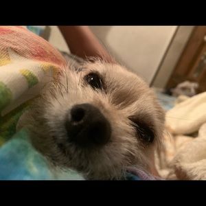 Meet your Posher, Trinidy